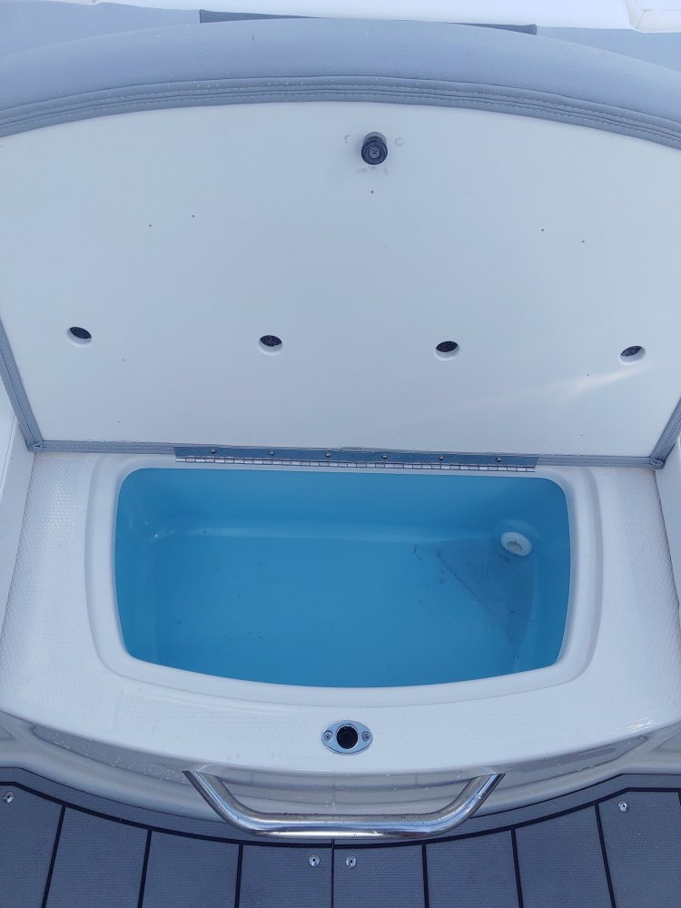 A 19 SSI OB is a Power and could be classed as a Bowrider, Ski Boat, Wakeboard Boat, Runabout,  or, just an overall Great Boat!