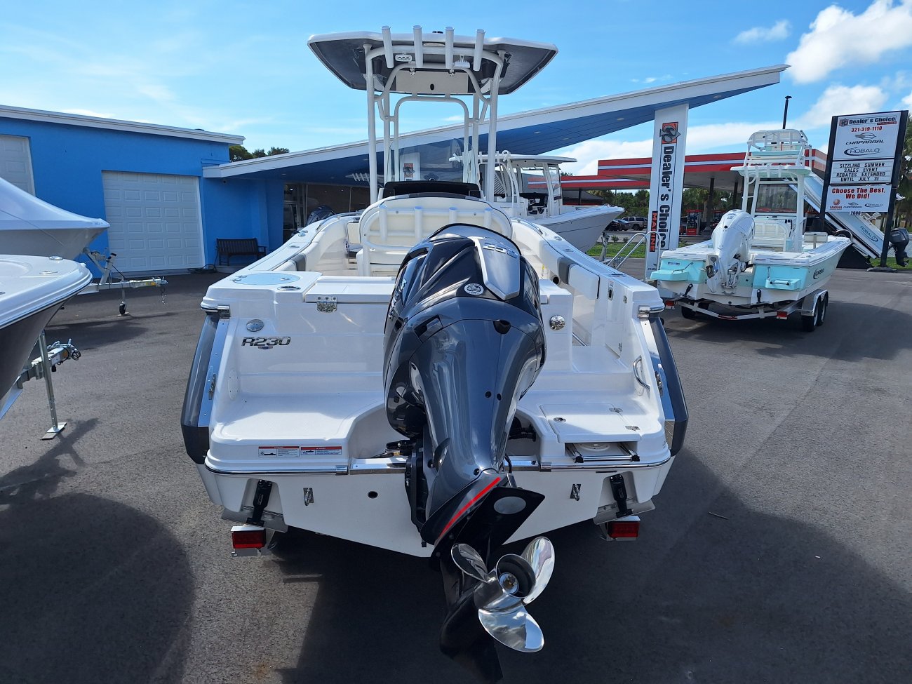 A R230 Center Console is a Power and could be classed as a Center Console, Saltwater Fishing,  or, just an overall Great Boat!